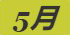 《集合啦！动物森友会》白斑狗鱼图鉴