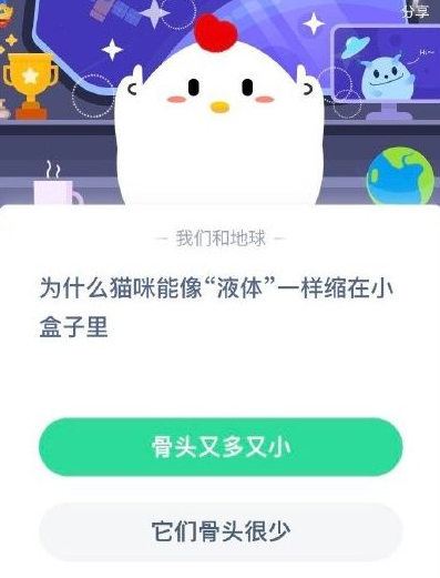 为什么猫咪能像液体一样缩在小盒子里