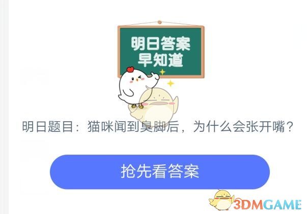 猫咪闻到臭脚后，为什么会张开嘴