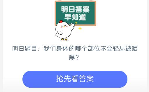 我们身体的哪个部位不会轻易被晒黑