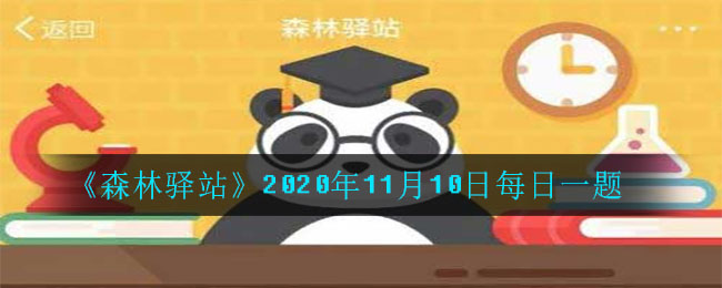 《森林驿站》2020年11月10日每日一题