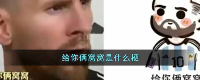 给你俩窝窝是什么梗