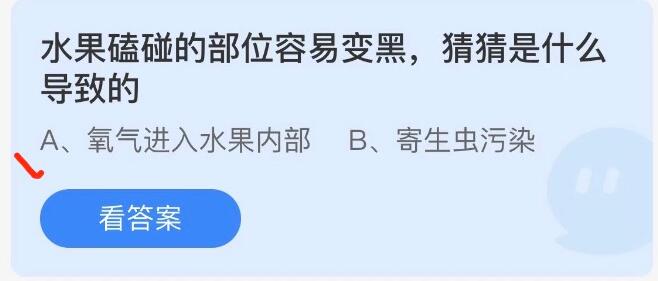 水果磕碰的部位容易变黑猜猜是什么导致的