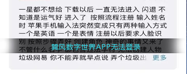 巽风数字世界APP无法登录