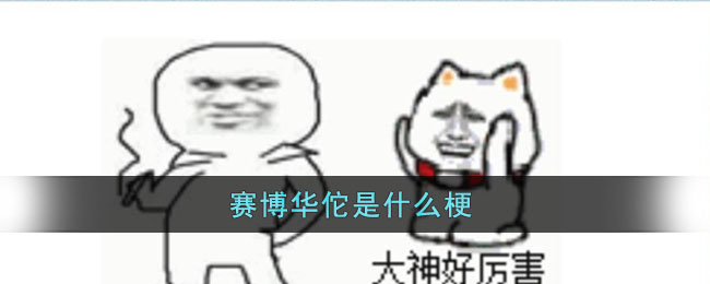 赛博华佗是什么梗