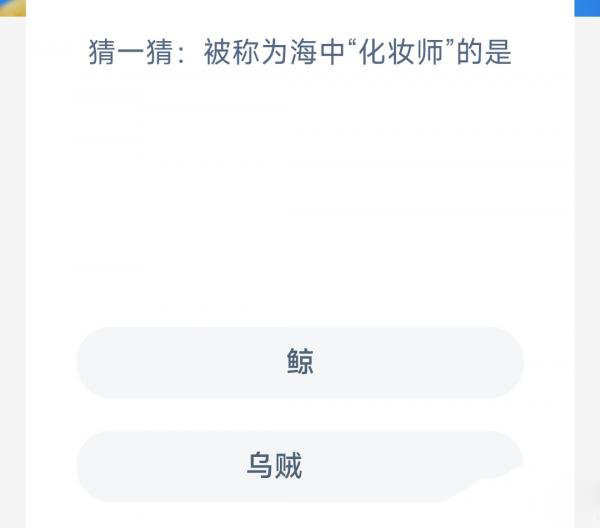 猜一猜被称为海中化妆师的是