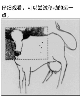 《Crimaster犯罪大师》8月7日每日任务答案介绍